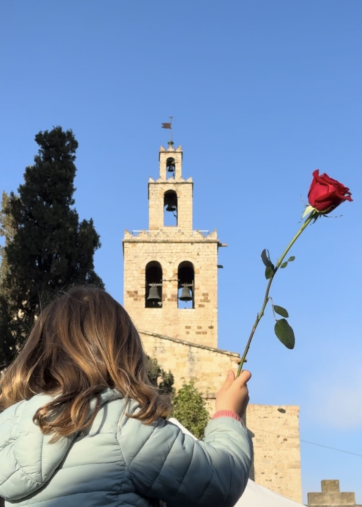 Sant Jordi · Monestir de Sant Cugat FOTO: Rasool Seyghaly