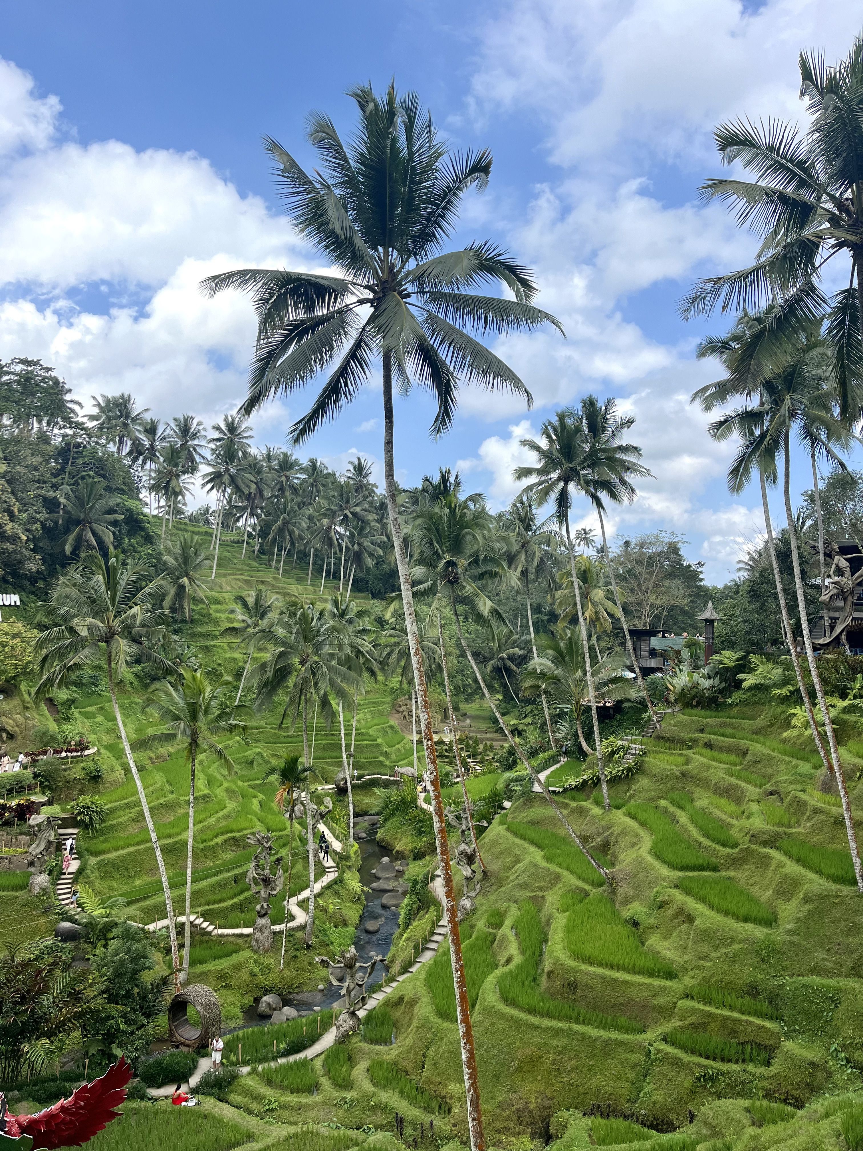 A punt per un Nasi Goreng · Bali, Indonèsia FOTO: Sonia Gil Ayuga